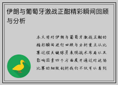 伊朗与葡萄牙激战正酣精彩瞬间回顾与分析